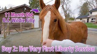 This Little B.C. WIldie Filly's First Liberty Session For Touch