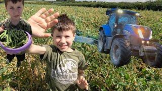 Cutting peas/whole crop.  Plus giveaway!!!