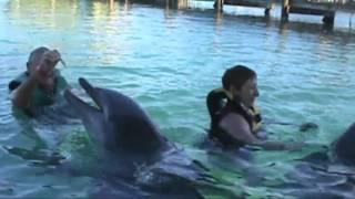 Swim with Dolphins in Puerto Plata -Dominican Republic -OceanWorld