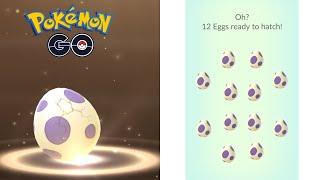 Hatching  twelve 10km eggs in Pokémon go