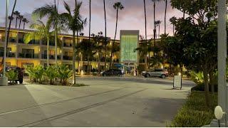 Dog Friendly Hotel Review for the dogs, Marina del Rey Hotel, Marina del Rey, CA