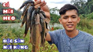 Sang Vlog - Bắt Cá Bống Đá Đặc Sản Của Núi Rừng Tây Nguyên