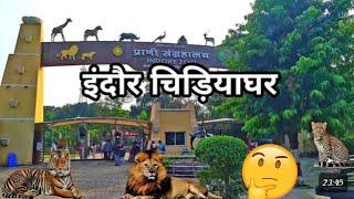 Indore chidiya Ghar  #vbloger #trending #chidiyaghardelhi #chidiyagharindore