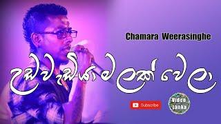 Udawadiya Malak Wela | උඩවැඩියා මලක් වෙලා | Sinhala Songs | Chamara Weerasinghe