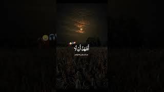 Best Islamic video tilawat Quran Kareem