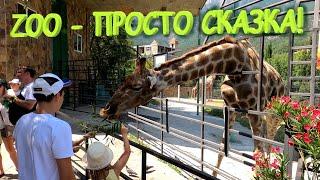 Крым глазами северян. Ялта.  Крым 2021.  Зоопарк Сказка. Zoo "Skazka". Yalta. Crimea.