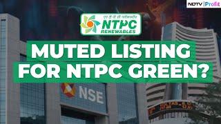 NTPC Green IPO Listing: Strengths, Risks & Should You Buy On Listing? | NTPC Green Share Price