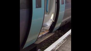 Cheeky Gull on the Hastings Train - Feb24