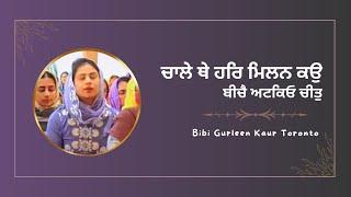 Latest Dodra Kirtan | New Jersey Samagam 2024 | Bibi Gurleen Kaur Toronto