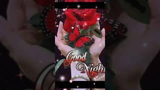 Good night ji #whatsappstatus #whatsappstatus #nature #viral #4kbeautiful @farheenkhan8969 