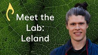 Meet the Lab – Leland Werden