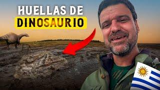 Huellas de DINOSAURIO en Uruguay