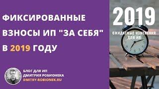 Фиксированные взносы ИП "за себя" в 2019 году: подробная схема и частые вопросы