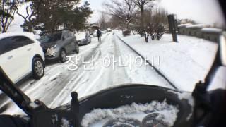 [비버125] 낙산공원에 갇혀버린 비버짱!!