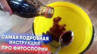 Самая подробная инструкция про фитоспорин