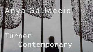 'Anya Gallaccio: preserve' Exhibition Trailer | Turner Contemporary