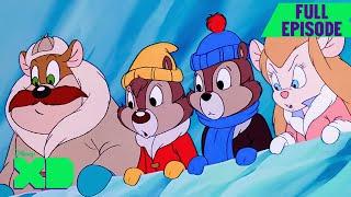 Chip 'n Dale: Rescue Rangers Full Episode | S3 E4 | A Chorus Crime | @disneyxd