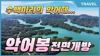 "충주호애 가면 악어들을 볼 수 있다" 악어봉 전면개방 '24.9.11 전면 개방  #충주 가볼만한곳, #충북여행, #충주 여행,