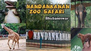 Nandankanan Zoo Bhubaneswar | नंदनकानन चिड़ियाघर Nandankanan Zoological Safari | India's Largest Zoo