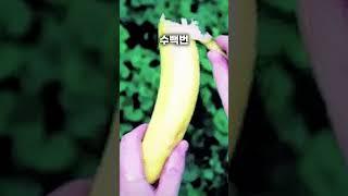 바나나 껍질까는 로봇을 왜 만들까?