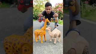 Duita RC Remote Wala Camel and Giraffeunboxing