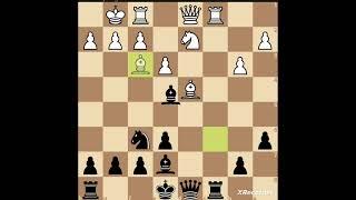 #siciliandefense #chess #chessgrandmaster #puzzle #scandinaviandefense #magnuscarlsen