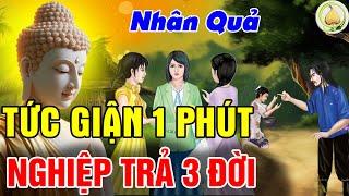 Luật Nhân Quả Không Bỏ Sót Ai, Vì 1 Phút Nóng Giận Mà NGHIỆP TRẢ 3 ĐỜI    Gieo Nhân Nào Gặt Quả Đó