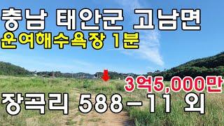 태안부동산, 운여해수욕장 걸어서 1분. 1000평, 안면도부동산,