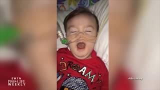 Alfie Evans: Catholic Member of European Parliament Speaks Out for Toddler