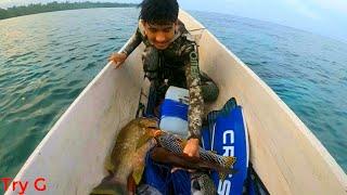 Hunting Maori And Red Grouper-Kedalaman 25 Meter Lebih