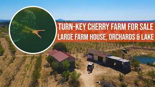 3HA CHERRY FARM FOR SALE -CENTRAL PORTUGAL, ORCHARDS, LAKE, LARGE FARMHOUSE, INVESTMENT OPPORTUNITY