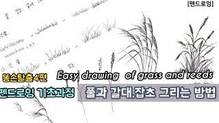 [펜드로잉]기초과정,풀,갈대그리기 완전정복(Easy drawing of reeds)