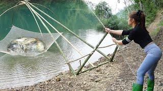 Amazing Fishing | Traditional Fishing Technique Using Bamboo and Fishing Nets | Catch Many Big Fish