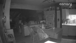 Great Dane sees Ghost Orbs caught on security camera