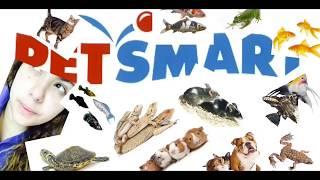 A day in the life of a petsmart worker!