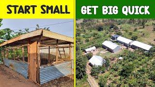 How to Start Poultry Farm with LITTLE MONEY and GROW QUICKLY