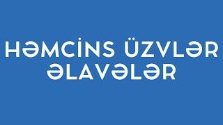 HƏMCİNS ÜZVLƏR və ƏLAVƏLƏR (TAM İZAH)