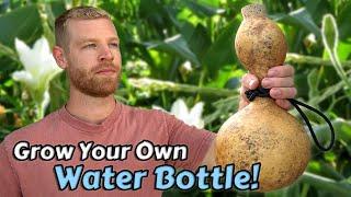 I Spent A Year Growing A Natural Water Bottle - Full Tutorial