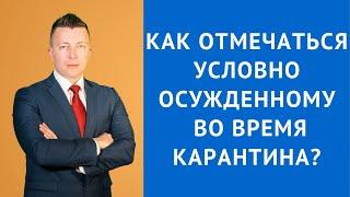 Как отмечаться условно осужденному во время карантина (изоляции) - Консультация уголовного адвоката