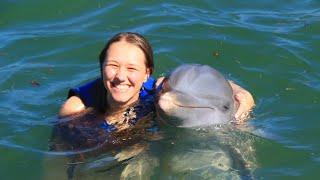 Swimming With Dolphins In The Dominican Republic