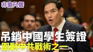 【非童凡響】中國留學生人心惶惶，兩類中國留美學人將被吊銷簽證！中共當機中沒反應。這是盧比歐圍剿中共的戰術之一，代表接下來還有更大的行動。說好的給優秀留美學生直接發綠卡呢？｜2025.5.31