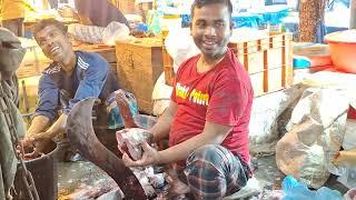 Hilsha fish cutting and clan skill in local fish market BD