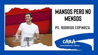 Rodrigo Espinoza  - Manso pero no menso