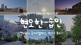 연세대학교 국제캠퍼스가 궁금해? | 송도학사 A to Z | 연세대 | 송도 | yonsei | 연대생 브이로그