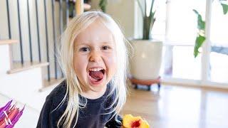 What my VEGAN KIDS ate today // Easy Healthy Kid Recipe Ideas