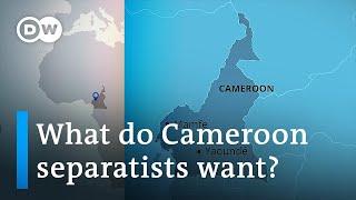 Anglophone separatists kill dozens in western Cameroon | DW News Africa