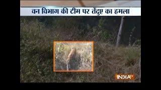 Saharanpur police launch hunt for leopard in UP