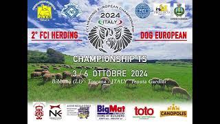 FCI HERDING DOG EUROPEAN CHAMPIONSHIP TS