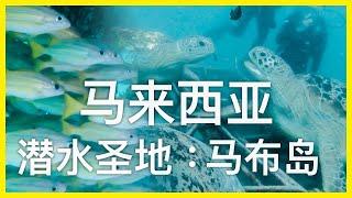 海洋奇幻之旅~马来西亚的潜水圣地~马布岛丨【探透】第一季 25期