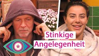 Dusch-Faulheit: "Ich kann dir deine Arschritze waschen!" | Promi Big Brother 2024 | SAT.1